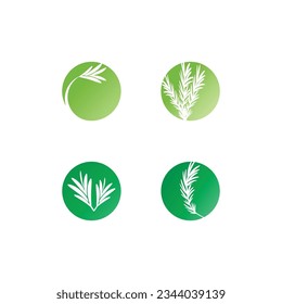 Rosemary  logo vector illustration template business element and symbol design