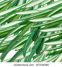 rosemary pattern. Useful green herbs. delicious seasoning. tasty flavoring for food. Vector illustration.