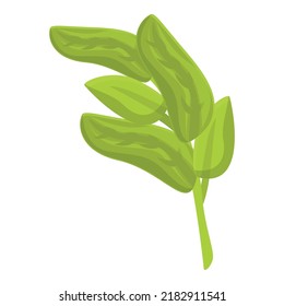 Rosemary plant icon cartoon vector. Oregano leaf. Mint spice