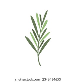Rosemary plant icon flat vector. Herb leaf. Green herbal isolated