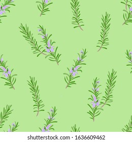 Rosemary plant seamless pattern on green background. Blooming branches of fragrant herb with purple flowers. Vector illustration of aromatic herbs, spicy seasoning in cartoon flat style.