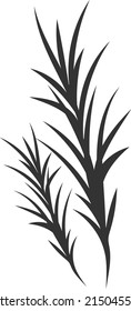 a rosemary plant vector illustration