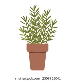 Rosemary in a pot, cartoon style. Trendy modern vector illustration isolated on white background, hand drawn, flat design.