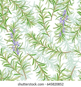 Rosemary (Rosmarinus officinalis). Leaves and flowers. Seamless pattern. Vector illustration.