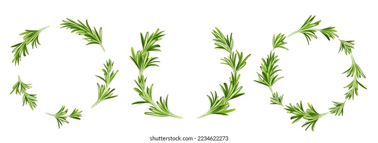 Rosemary round frames, circular border or wreath templates with green stems and leaves of garden plant. Blank vignettes, photo frames isolated on white background, Realistic 3d vector illustration