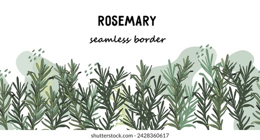 Rosemary seamless hand drawn vector border for label or food tag designs, vector sketch style illustration isolated.