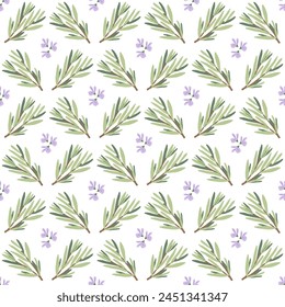 Rosemary seamless pattern. Rosemary plant green leaves repeat background. Botanic endless cover. Vector hand drawn illustration.