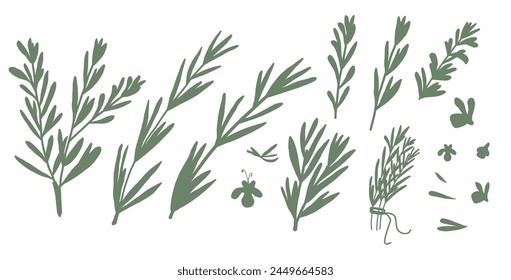 Conjunto de silueta de romero aislado sobre fondo blanco. Rama de hierbas frescas con hojas verdes y flores simples. Vector dibujado a mano ilustración.