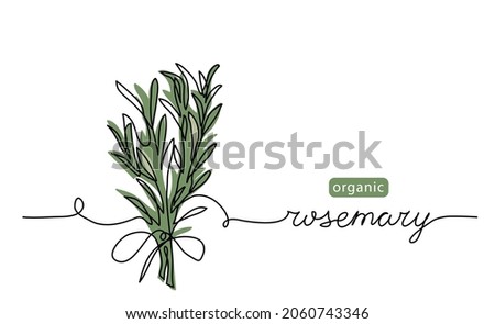 Rosemary simple vector sketch drawing. One continuous line art drawing illustration for label design with lettering rosemary.