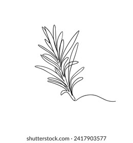 Rosemary single line icon. Hand drawn vector