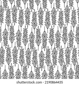Rosemary. Sketch. A sprig of fragrant spice. Repeating vector pattern. Seamless floral ornament. Abstract background of twigs with leaves. Isolated colorless background. Idea for web design
