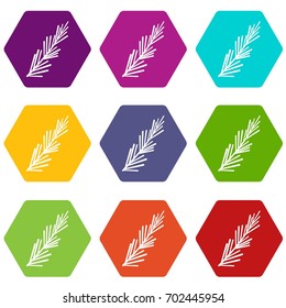 Rosemary spice icon set many color hexahedron isolated on white vector illustration