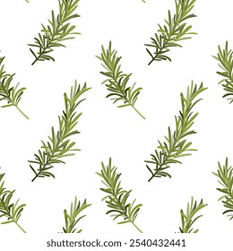 Motif harmonieux d'épices de romarin. Herbes de cuisine, nourriture italienne et aroma herbes texture sans fin pour le design d'emballage, illustration à plat Image vectorielle dessinée à la main. Rosemary motif décoratif harmonieux.