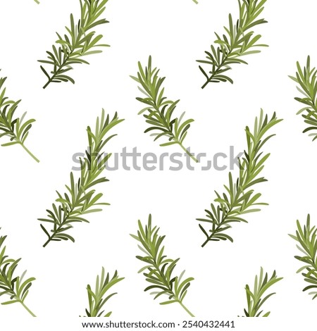 Rosemary spice seamless pattern. Cooking herbs, Italian food and aroma herbs endless texture for wrapping design, hand drawn vector flat illustration. Rosemary decorative seamless pattern design.