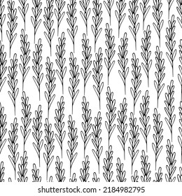 Rosemary. A sprig of aromatic spice. Repeating vector pattern. Seamless floral ornament. Abstract background of twigs with leaves. Isolated colorless background. Idea for web design, packaging