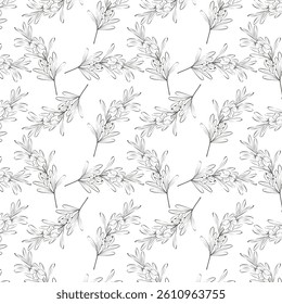 Rosemary sprig pattern, hand drawn outline drawing, branch with flowers and leaves, on white background.