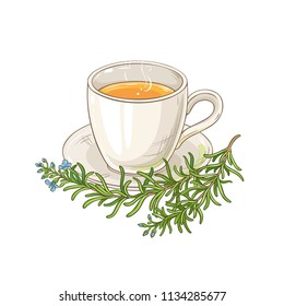 rosemary tea illustration