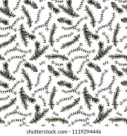 Rosemary and Thyme Seamless Endless Vector Background. Fresh Green Herbs for Meat, Steak or Seafood Cooking. Hand Drawn Illustration. Doodle Style.