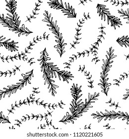 Rosemary and Thyme Seamless Endless Vector Background. Fresh Green Herbs for Meat, Steak or Seafood Cooking. Hand Drawn Illustration. Doodle Style.