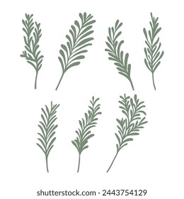 Rosemary tree illustration, Rosemary tree