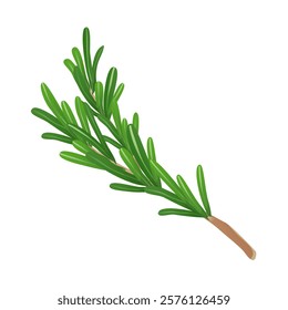 Rosemary twig in flat design. Cooking spice, scented herb condiment. Vector illustration isolated.