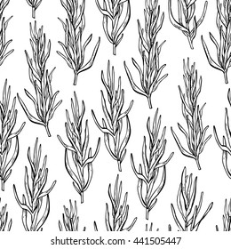 Rosemary vector drawing seamless pattern. Isolated Rosemary plant with leaves. Herbal engraved style illustration. Detailed organic product sketch. Cooking spicy ingredient
