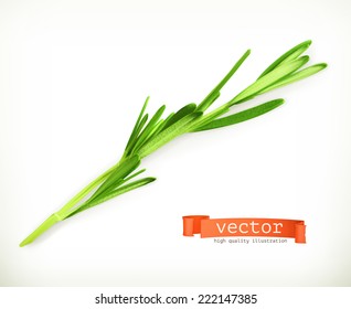 Rosmarin, Vektorgrafik