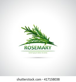 Rosemary - Vector Illustration