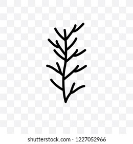 Rosemary vector linear icon isolated on transparent background, Rosemary transparency concept can be used for web and mobile