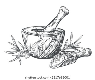 Rosemary, wooden mortar for grinding herbs, measuring spoon. Vector illustration of aromatic herbs, spices. Hand sketch in engraving technique. Separate design elements in a rustic style.