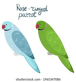 Rose-ringed parakeet or ring-necked parrot in cartoon style on white background. Vector hand drawn illustration. Psittacula krameri