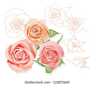 Roses