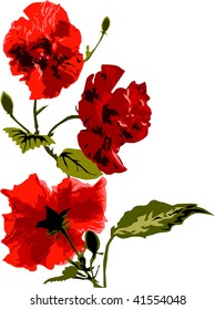 roses