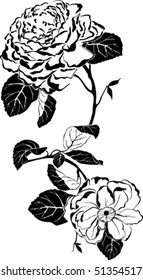  roses