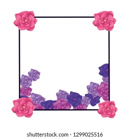 roses arrangement frame