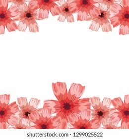 roses arrangement frame