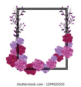 roses arrangement frame