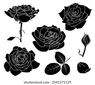 Roses black contour set. Various floral shapes, design elements. Fully open, button, leaves, petal. Black line contour, isolated. Coloring book page, line art, Valentine, love, digital illustration