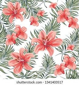 Roses. Blooming spring-summer flowers plants.  Vector image.