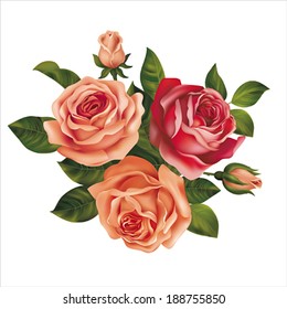 Roses bouquet on white. Vector illustration.