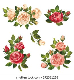 Roses branches on white. Vector design set. 