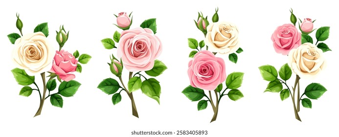 Roses branches. Pink and white rose flowers isolated on a white background. Set of vector design elements. Hand-drawn illustration, not AI