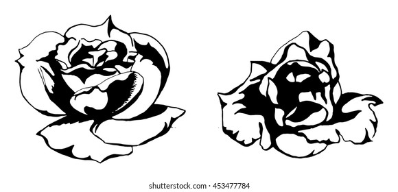 roses b&w