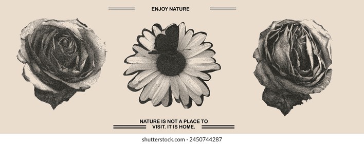  Roses, chamomile, butterfly photocopy effect elements set with grunge stippling grain messy texture. Trendy y2k aesthetic vector illustration. Ideal for poster design, t shirt, tee print, sweatshirt