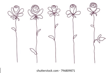 Roses. Collection of isolated rose flower sketch on white background. The continuous line doodled design.