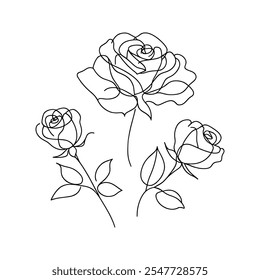 Roses, continuous one line sketch. Line art flower. Hand drawn vector art