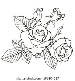 Roses contour image