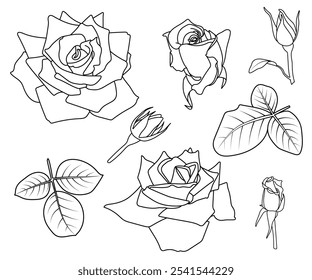 Roses contour set. Pointed petals. Simple floral shapes collection. Half-opened, half-blossomed, fully open, button, leaves. Black line contour, isolated shape. Coloring book page, line art, Valentine