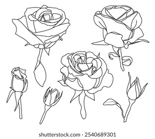 Roses contour set. Simple floral shapes collection. Half-opened, half-blossomed, fully open, buttons. Black contour, isolated shape. Coloring book page, line art, illustration, digital, Valentine