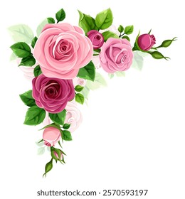 Roses corner border. Pink and purple roses corner design element isolated on a white background. Hand-drawn illustration, not AI